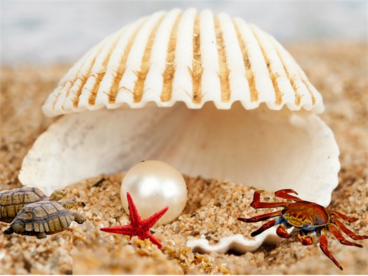 Jarmark pro všechny lovce perel