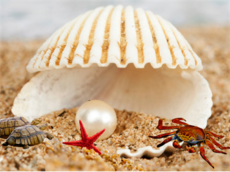 Jarmark pro všechny lovce perel